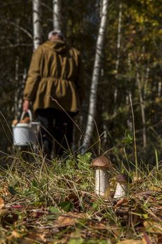 mushroom picker, who missed two boletus