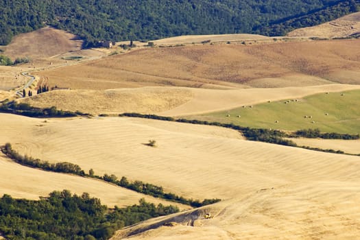 view of typical Tuscany landscape in summer, Italy