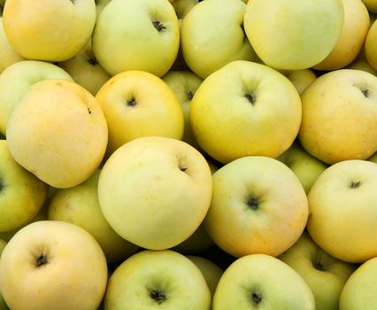 Yellow juicy fresh apples background