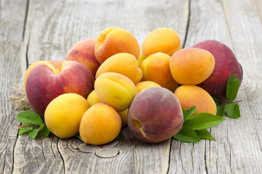 fresh fruits on wooden background