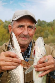 old fisherman and his catch - zander and pike