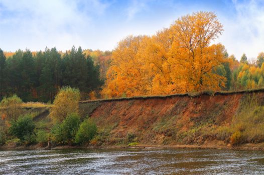 аutumn forest on the bank of the river and its reflection in the water