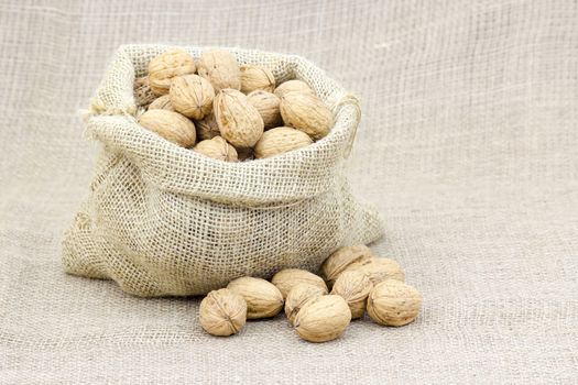 Burlap sack full of whole walnuts