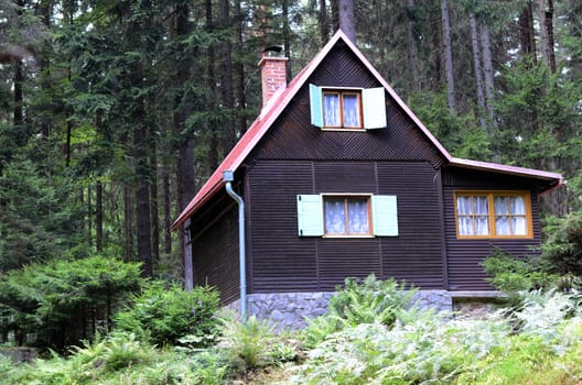 cabin in the wood