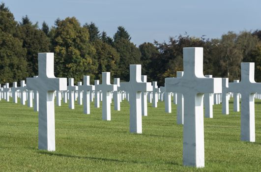 the military american cemetry henri chapelle in belgium city hombourg