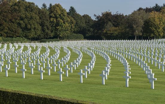 the military american cemetry henri chapelle in belgium city hombourg