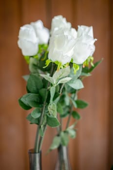 White rose