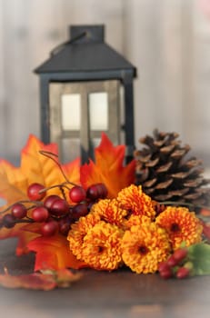 Fall or autumn flowers, pine cone and berries with orange leaves and lantern on a vintage wooden background with shallow depth of field