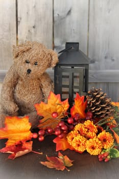 Fall or autumn flowers, pine cone and berries with orange leaves, teddy bear and lantern on a vintage wooden background with shallow depth of field