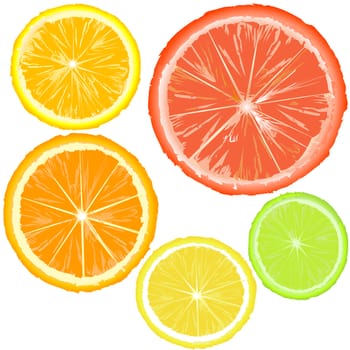 Realistic citrics, set of fruit slices