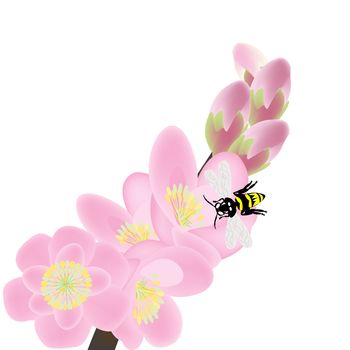 Cherry blossom branch with bees, spring composition