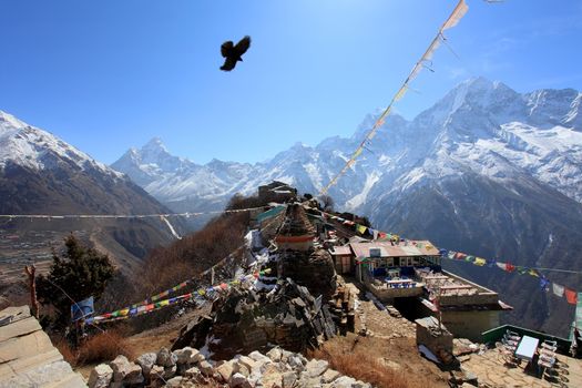 Eagle above the village in the mountains of Himalayas. Nepal