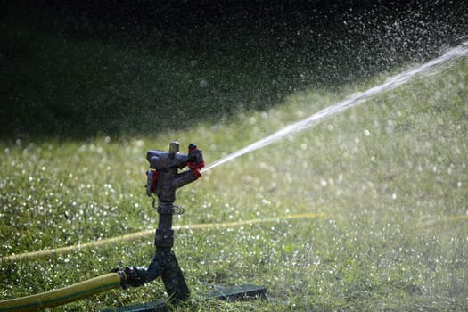 Automatic sprinkler in function