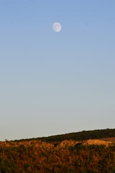 Landscape with a field under the bright sky and the moon