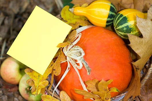 Photo shows a closeup of an autumn various vegetable with the greeting card.