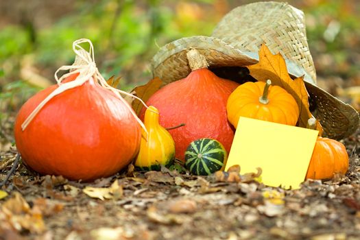 Photo shows a closeup of an autumn various vegetable with the greeting card.