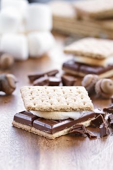 Delicious Smores with chocolate and marshmallows. Extreme shallow depth of field.