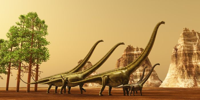 A herd of Mamenchisaurus dinosaurs make their way to better feeding grounds during the Jurassic Era.