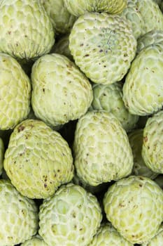 stack of custard apple in market background