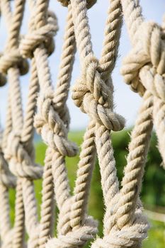 climbing ropes close up