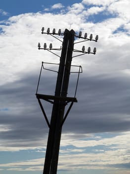 Detail of the old power-transmission pole - electric power line