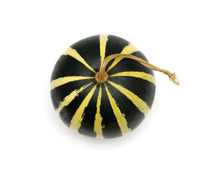 Green striped pumpkin isolated on white background