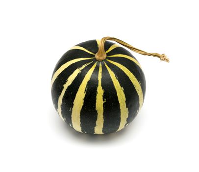 Green striped pumpkin isolated on white background