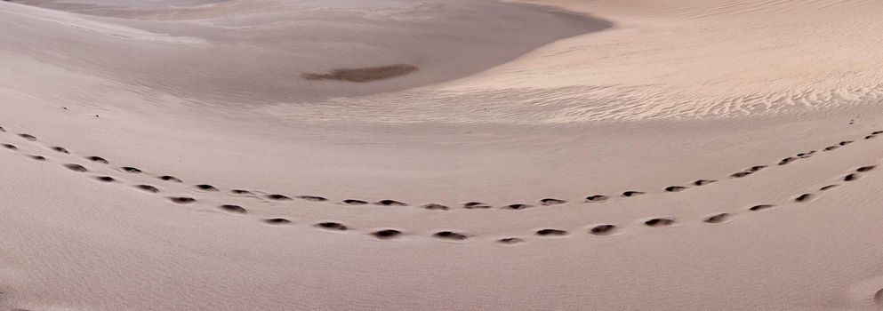 Great Sand Dunes National Park