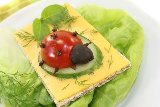 Crispbread with cheese, basil and ladybug on a light background