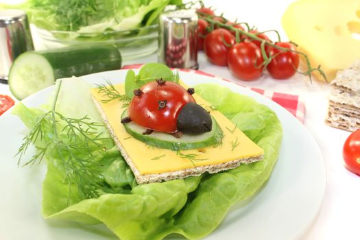 Crispbread with cheese and ladybug on a light background