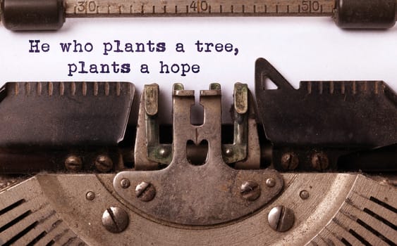 Vintage inscription made by old typewriter, he who plants a tree plants a hope