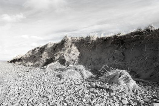 dunes that have suffered extreme coastal erosion damage due to big storm waves