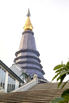 Pagoda took the title of King and Queen of Thailand.