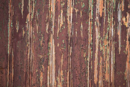 Wood background texture close up