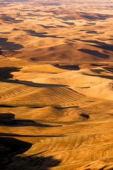 Rolling hills from a good vantage point overlooking rich Palouse Country farmland