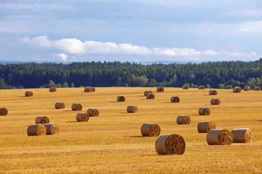 czech republic, southern bohemia - bales of hay