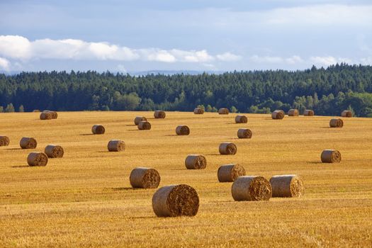 czech republic, southern bohemia - bales of hay