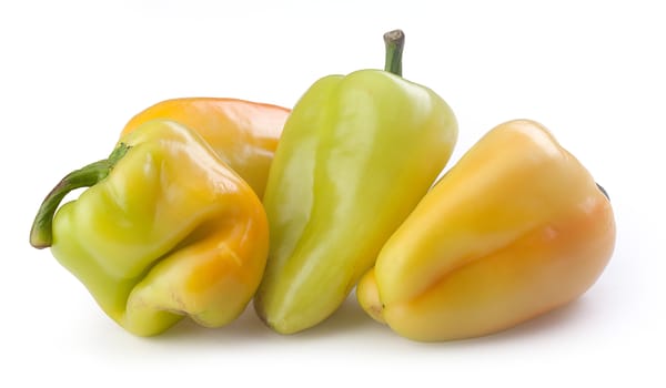 Four fresh green and yellow peppers on the white background