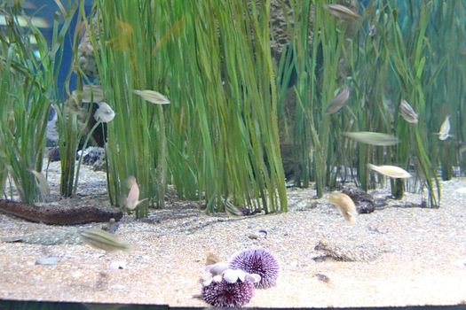 Photo of Oceanographic Parc, Valencia made in the late Summer time in Spain, 2013