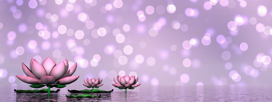 Lily flowers and leaves upon water in violet bokeh background - 3D render