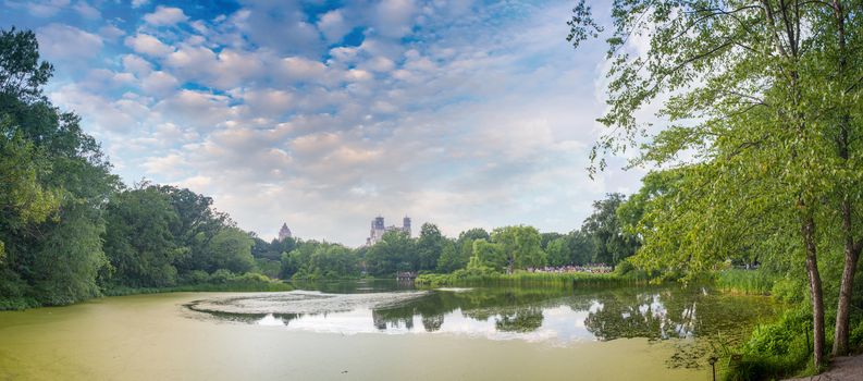 Stunning panoramic view of Central Park in June - New York City.
