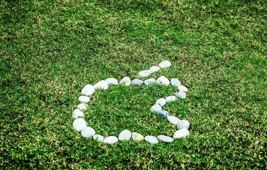 arranging white stone on the green grass in apple logo concept for background