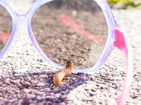 A caterpillar trying sunglasses under direct sunlight on asphalt