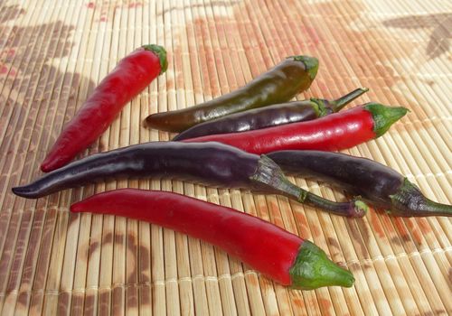 Red, green and violet chilies