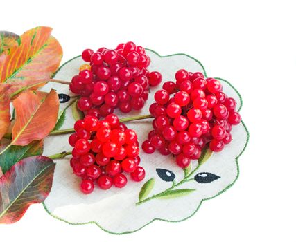 Three clusters of berries of a guelder-rose of bright red color both yellow and green leaves. Are presented on a white background.