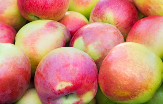 Beautiful and delicious large apples. Presents closeup. 