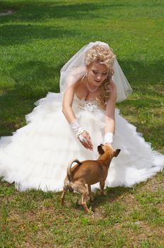 The young beautiful wife in the wedding day