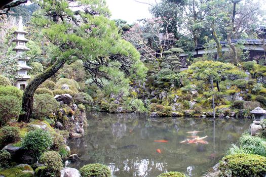 Photo shows details of Japanese temple garden.