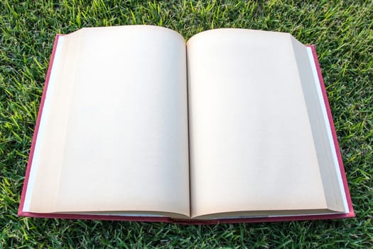 clock up open blank book on the grass field 