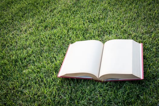 clock up open vintage blank book on the grass field 